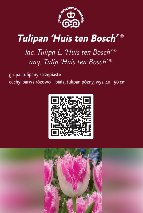 Huis-ten-Bosch.jpg Tekst alternatywny