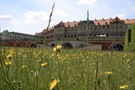 zdjęcie 10
