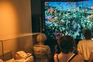 Wystawa Zniszczenie i odbudowa Zamku Królewskiego w Warszawie. Nowe otwarcie multimedialnej ekspozycji po modernizacji.