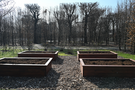 Prace nad ogrodem społecznym w ogrodach Zamku Królewskiego 