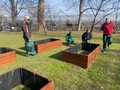 Wolontariat ogrodowy w Ogrodzie Społecznym Zamku Królewskiego, spotkanie 